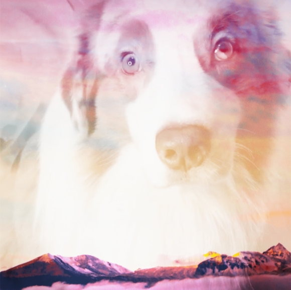 Meet your Posher, Faith - Picture 2 of 4